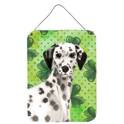 Carolines Treasures Bb9555ds1216 Dalmatian St Patrick S Wall Or Door Hanging P 16hx12w Fry’s