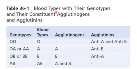 Blood Types Transfusion Tissue And Organ Transplantation Ch 36