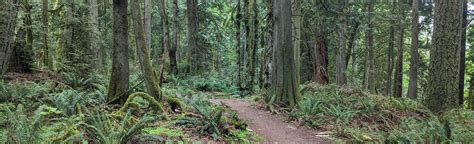 Squak Mountain Road Southeast To May Valley Loop Reviews Map