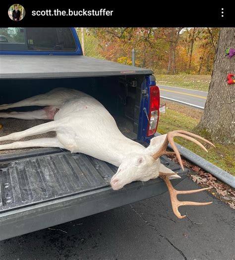 Saw This On Instagram No Details Trophy Bucks Of Wv