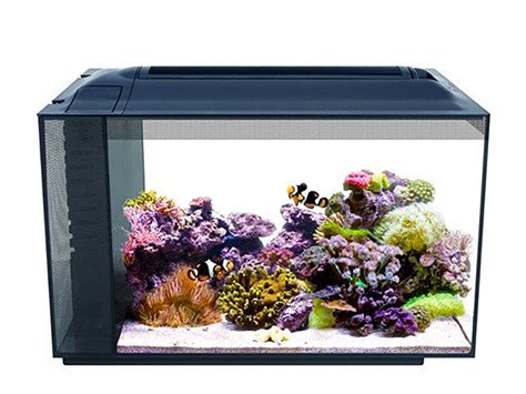 How To Set Up A Nano Reef Tank Help Guides