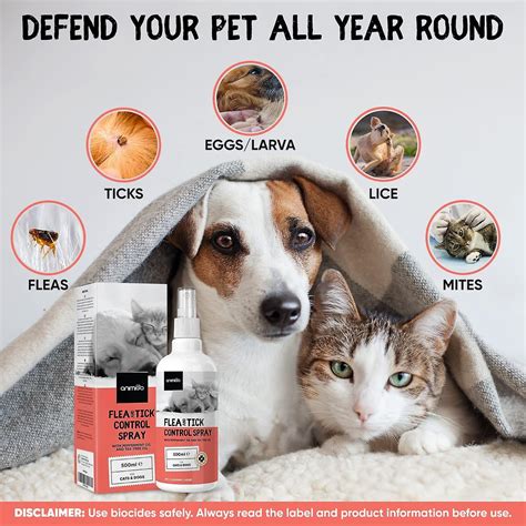 Is Peppermint Oil Toxic To Dogs