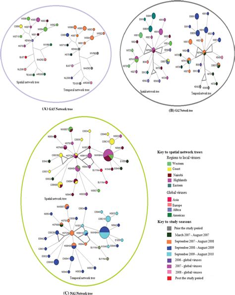 Seeding Of Haplotypes These Median Joining Networks Illustrate The