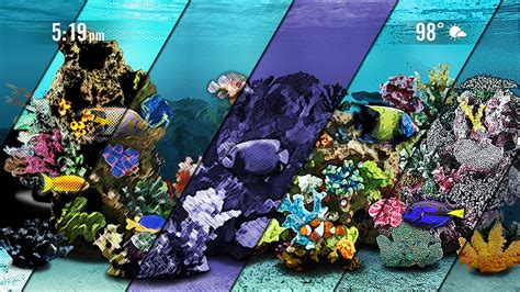 Aquarium Screensaver Roku Guide