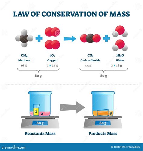 Law Of Conservation Of Mass Vector Illustration Labeled Educational Scheme Stock Vector