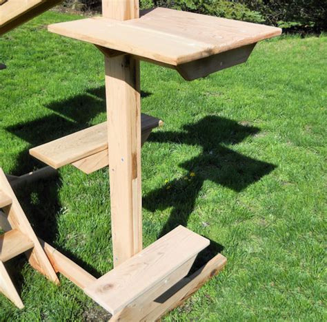 Outdoor Or Indoor Cedar Cat Gym Catsplay Superstore