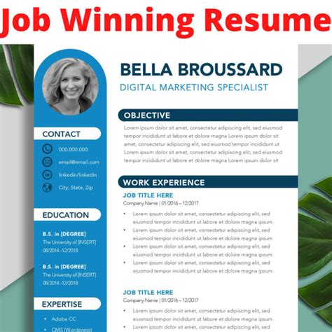 Write A Winning Resume And Cv For You And Update Your Cover Letter By