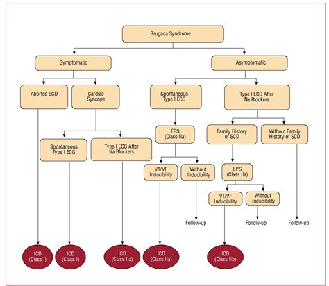 Brugada Syndrome Revista Espa Ola De Cardiolog A