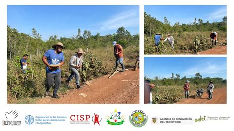 FAO Colombia on Twitter AvanzaMapiripán con la comunidad San Antonio