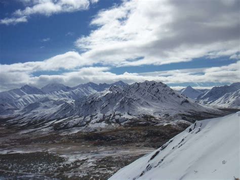 Winter and Northern Lights - Sojourn Alaska