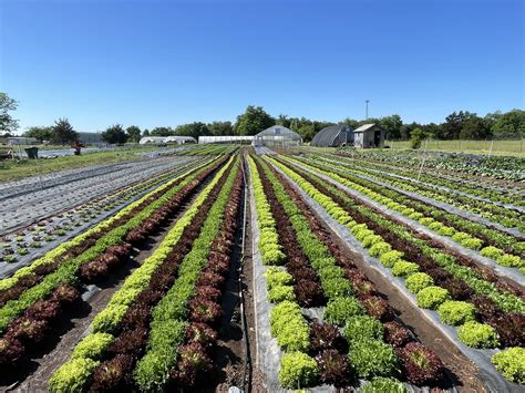 Farm Share (Copy) — OKC Food Hub
