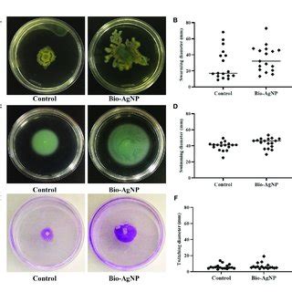 Swarming Swimming And Twitching Motility In Reference Strains Pao