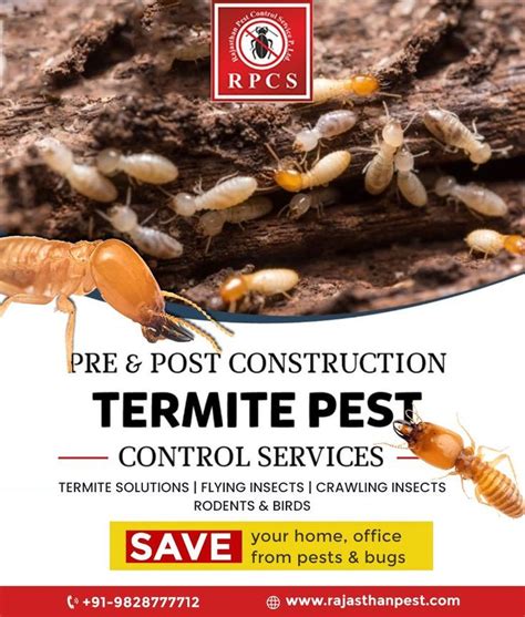 Pest Control Services In India Pest Control Services Pest Control