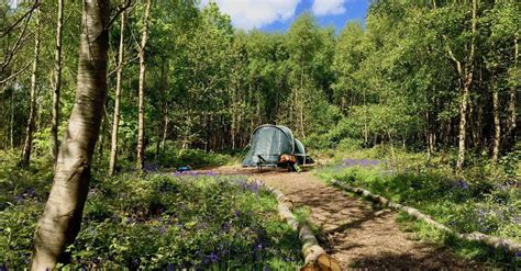 15 Best Secluded Campsites Find And Book Now