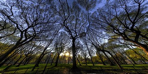 The Mall :: Central Park :: NYC :: Sam Rohn 360° Photography