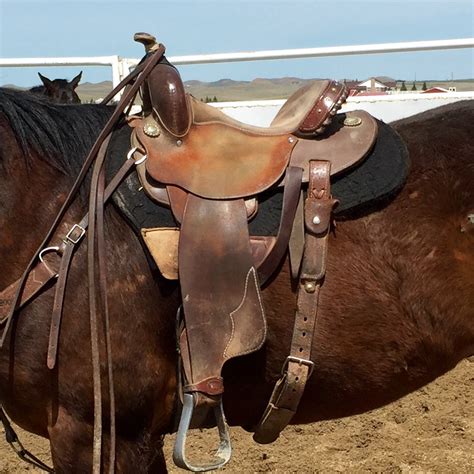 Saddle Pads .:: CavvySavvy.com - We Know Working Horses