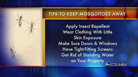 Watch Mosquito Prevention Tips Abc Columbia