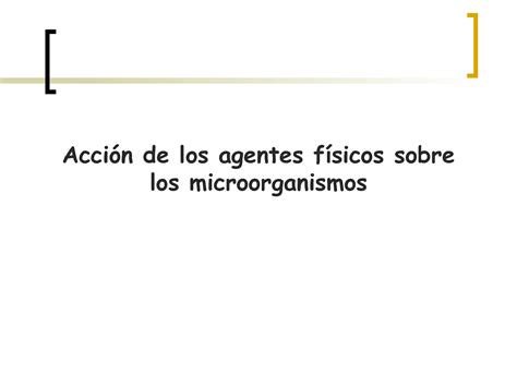 SOLUTION Accion De Agentes F Sicos Sobre Microorganismos Studypool