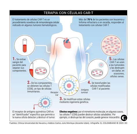 Las Vacunas Y Otros Tratamientos De Inmunoterapia Que Podrían Ser Definitivos Para Curar El Cáncer