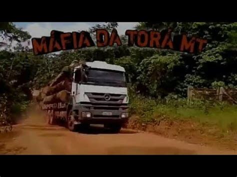 Máfia da Torá MT 2 Madeireiros pelo Brasil YouTube