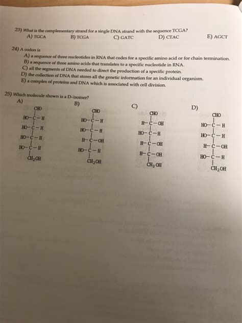 Solved 23) What is the complementary strand for a single DNA | Chegg.com