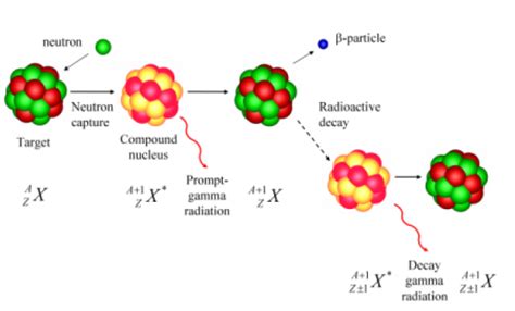 Neutron Activation Analysis | Nuclear Reactor Laboratory