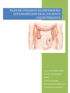 PLAN DE CUIDADOS DE ENFERMERÍA ESTANDARIZADO EN plan de cuidados de