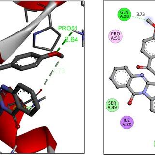 Binding Interactions Of Compound 4f With Active Sites Of Mycobacterium