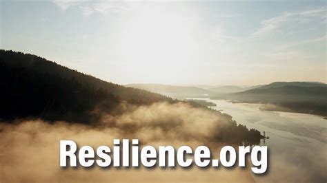 Resilience Wallpapers Top Free Resilience Backgrounds Wallpaperaccess