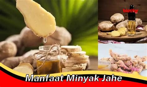 Temukan Manfaat Minyak Jahe Yang Jarang Diketahui Biotifor