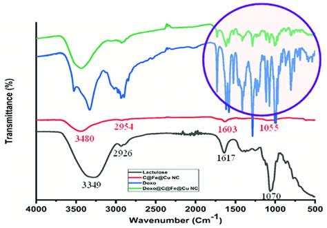 FTIR Spectra Of Lactulose C Fe Cu NC DOX And DOX Loaded C Fe Cu NC