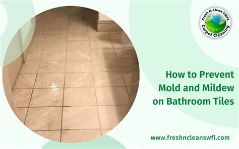 How To Prevent Mold And Mildew On Bathroom Tiles