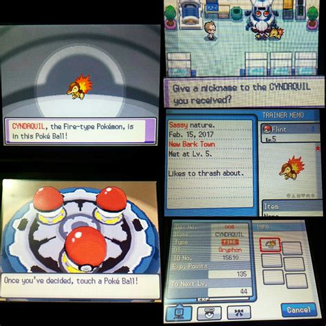 Shiny Cyndaquil Heartgold