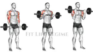 Barbell Drag Curl How To Do And Muscles Worked