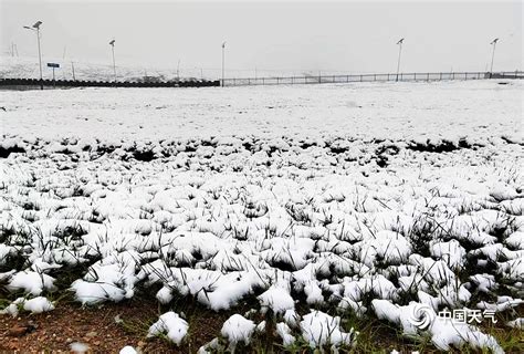 青海天峻县木里镇“三伏天”出现降雪 白雪覆盖草地 天气图集 中国天气网