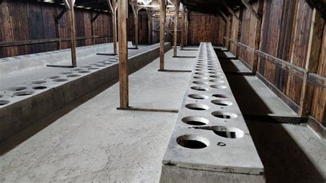 Museo Estatal Auschwitz Birkenau Oswiecim Tripadvisor