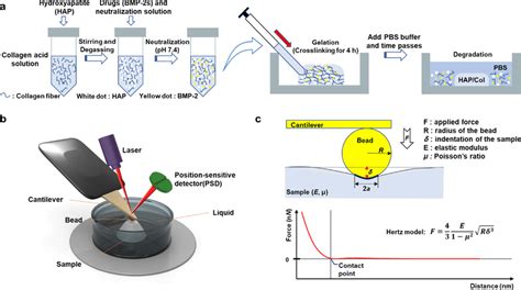 Schematic Illustration Of The Afm Nanoindentation Strategy For