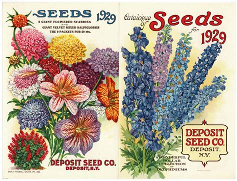 Vintage Seed Packets 1900 1940 Thelabelman