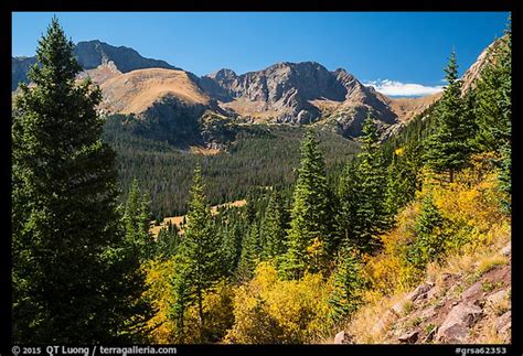 Picturephoto Subalpine Forest Sangre De Cristo Mountains Great Sand