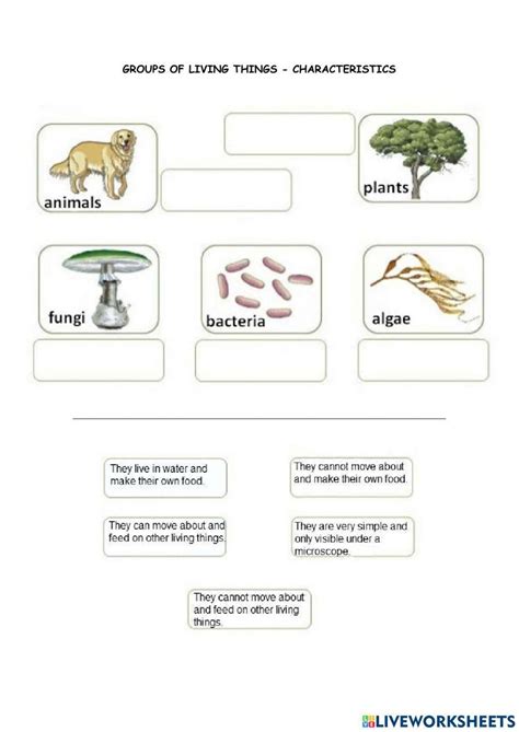 The 6-Kingdoms of life. Science Worksheets and Study Guides Sixth ...