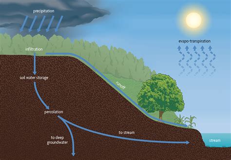 Ch 5 Soil Particles Water And Air SARE