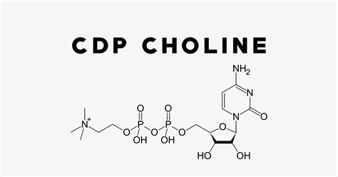 CDP Choline: Uses, Side Effects, Interactions, Dosage and Supplements