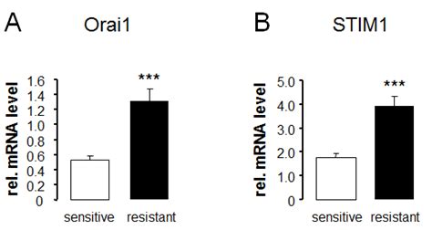 Transcript Levels Of Orai And Stim In Therapy Sensitive And Therapy