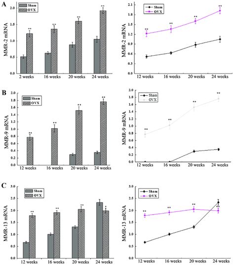 Relative Mrna Expression Levels Of A Mmp 2 B Mmp 9 And C Mmp 13 Download Scientific