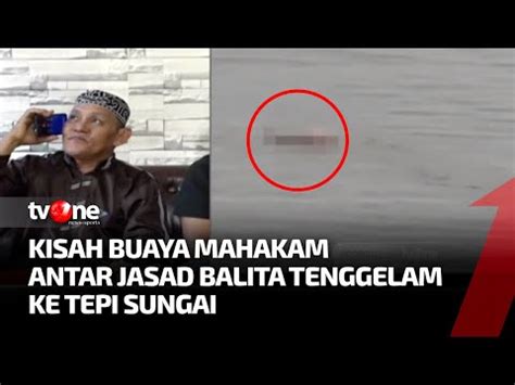 Geger Buaya Di Sungai Mahakam Antar Jasad Balita Tenggelam Ke Tepian