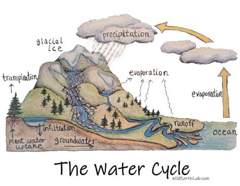 Human Impacts On The Water Cycle