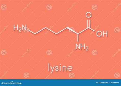 Lisina Llysine Lys K Amino Acid Molécula Fórmula Esquelética Stock de