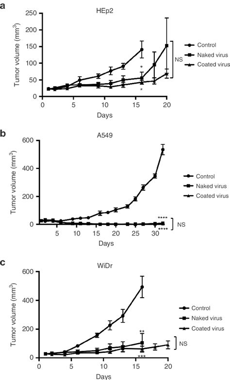 In Vivo Antitumor Effects Of Mv Nude Mice With Xenograft Tumors