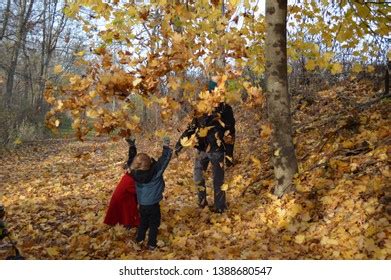 Kids Playing Leaves Stock Photo (Edit Now) 1388680547