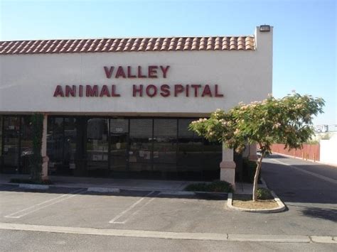 Valley Animal Hospital 14 Photos Veterinarians 993 W Valley Blvd